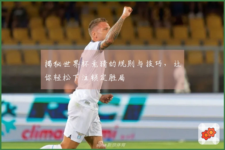 揭秘世界杯竞猜的规则与技巧，让你轻松下注锁定胜局