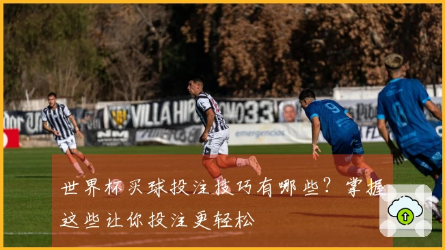 世界杯买球投注技巧有哪些？掌握这些让你投注更轻松
