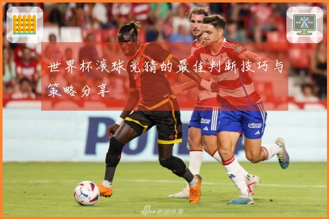 世界杯滚球竞猜的最佳判断技巧与策略分享